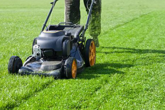 A Guide to Determining the Ideal Frequency for Mowing Your Lawn
