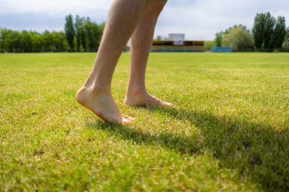 Timing Your Sodded Lawn: When to Tread Lightly for Optimal Results