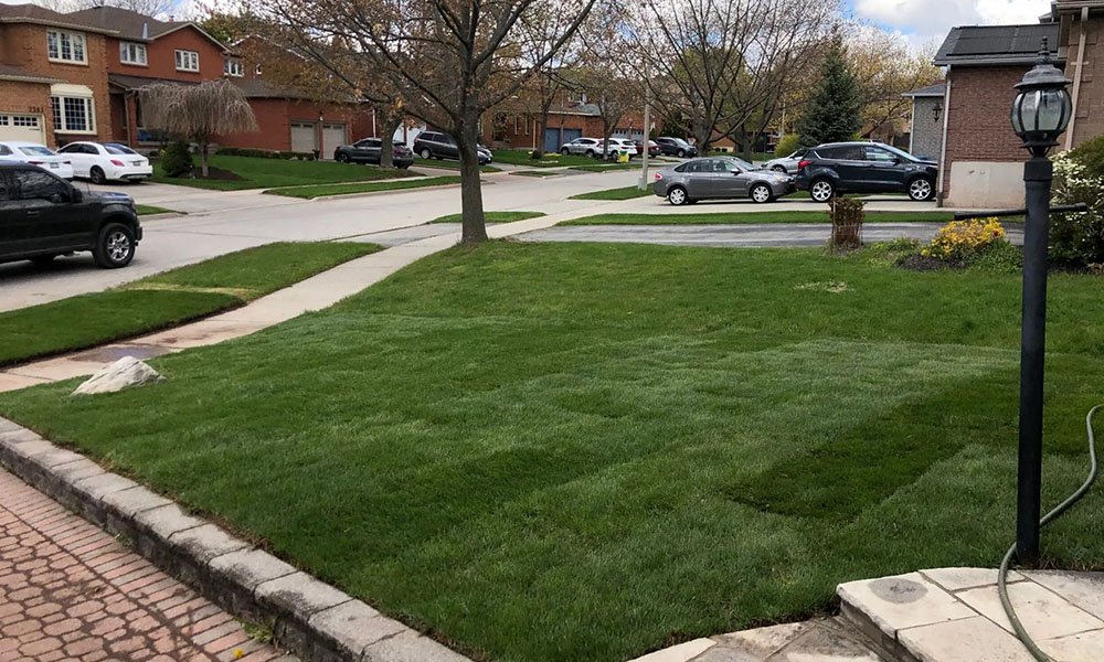 commercial landscaping, commercial landscape maintenance, commercial landscape, commercial landscaping contractor