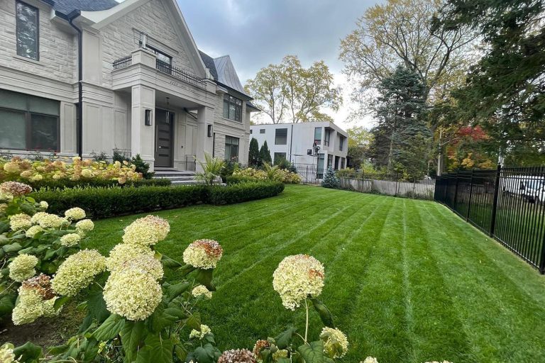 Commercial Property Maintenance, commercial landscaping contractor