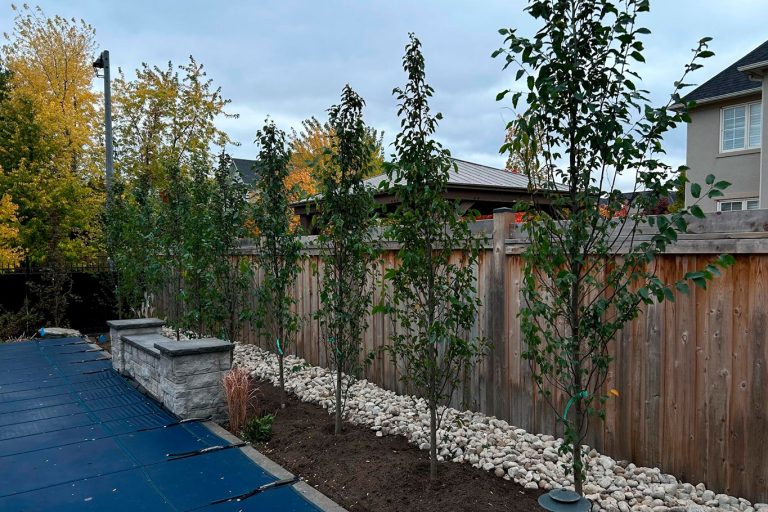 Residential Landscape Installation, commercial landscaping contractor