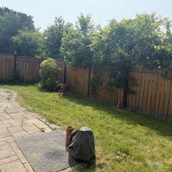 Backyard Before part 2