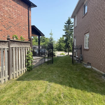 Backyard Before part 3