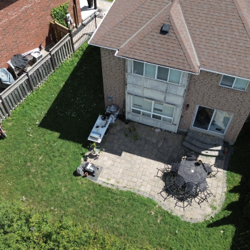 Backyard Bird Eye View