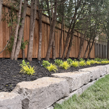 Backyard Renovation work