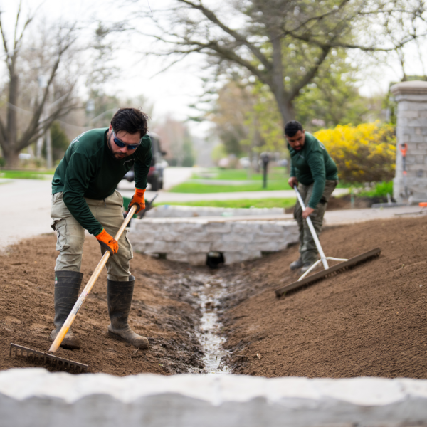 Backyard-drainage-solutions
