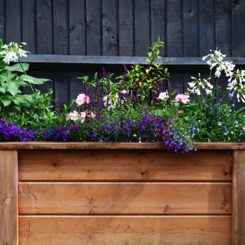 Built-in-wood-features