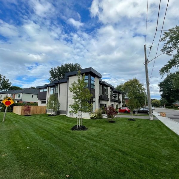 Property Maintenance