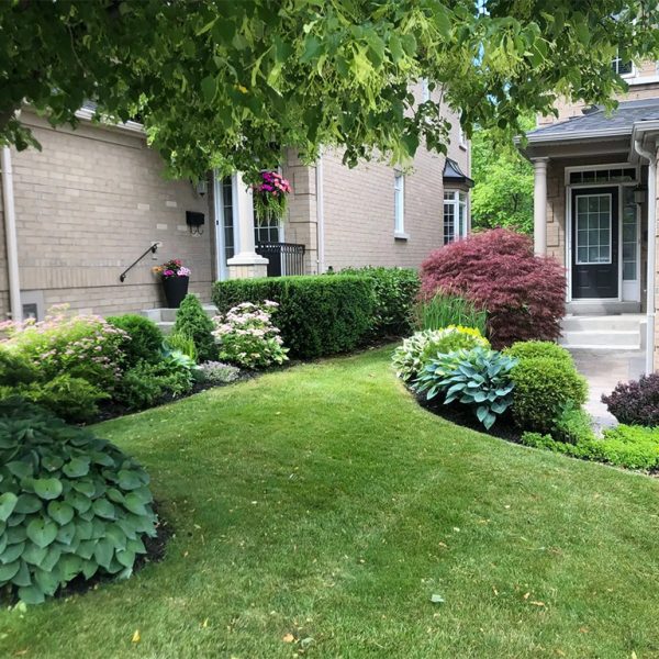 Property Maintenance