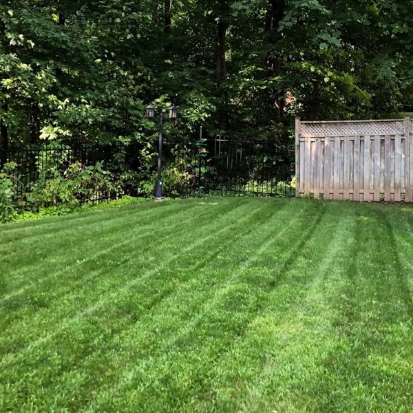 Property Maintenance