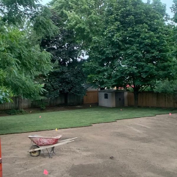 Sod replacement
