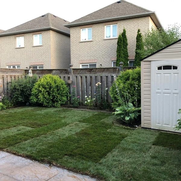 Sod replacement