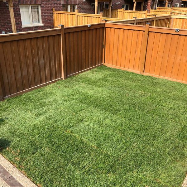 Sod replacement