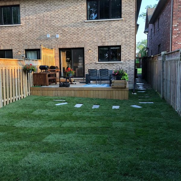 Sod replacement