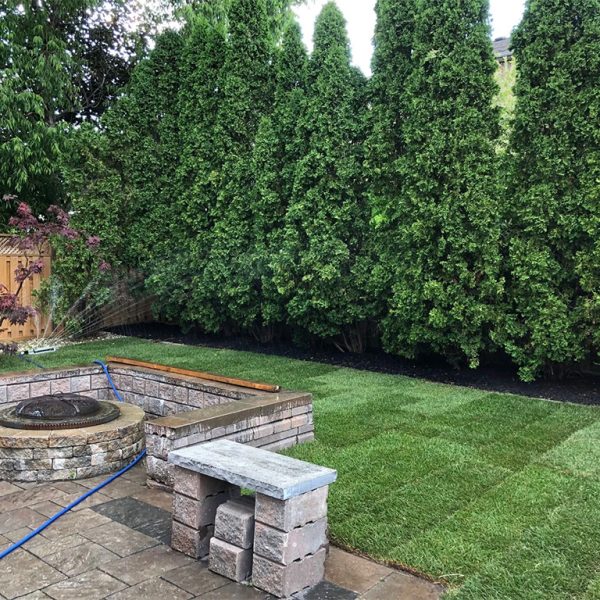 Sod replacement