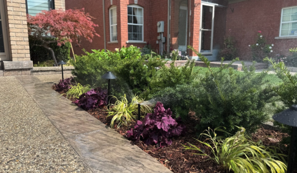 Irrigation system installation front yard