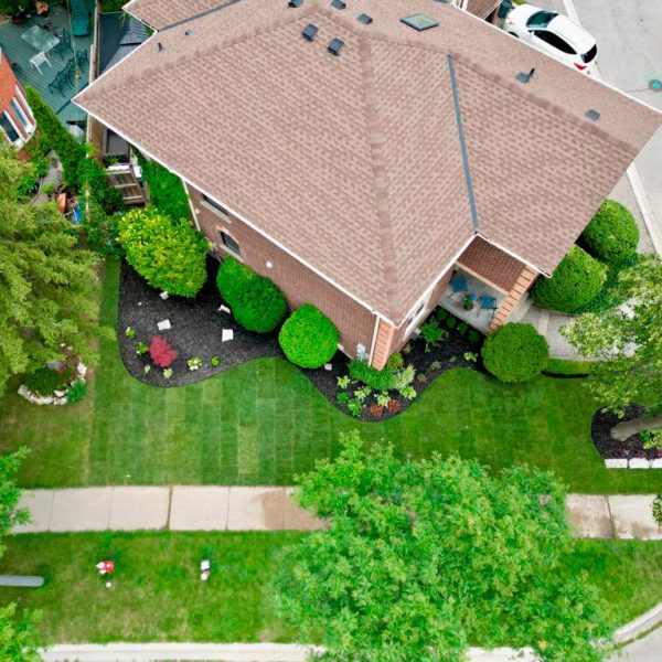 Landscaping-and-Planting-11