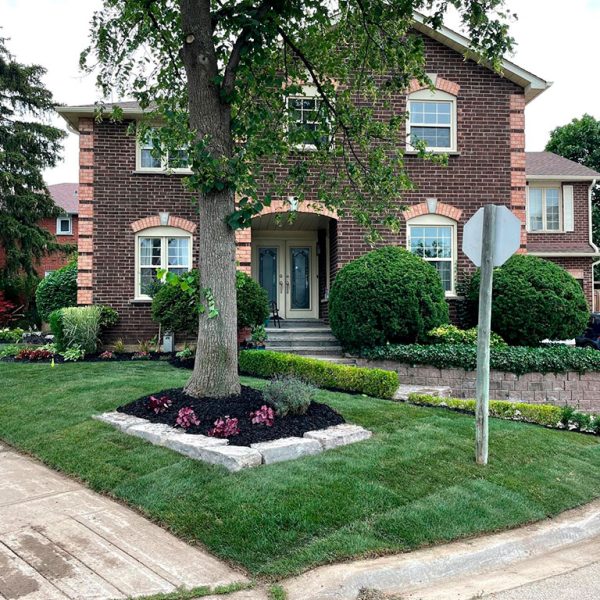Landscaping-and-Planting-5