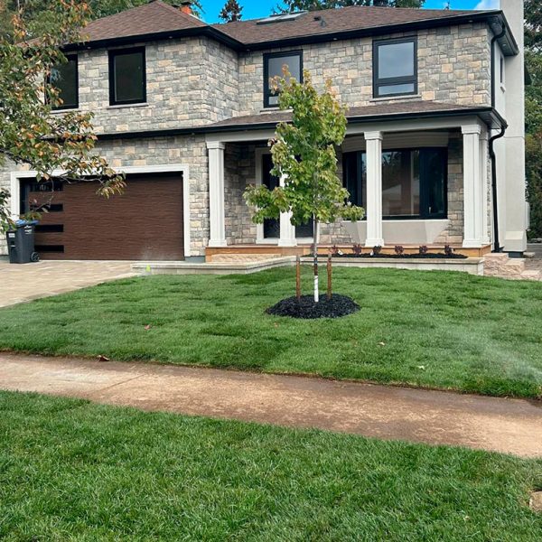 Landscaping-and-Planting-6