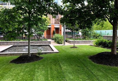 landscape design and installation, Sod replacement