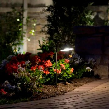 Oakly Landscaping-Landscape Lighting-1
