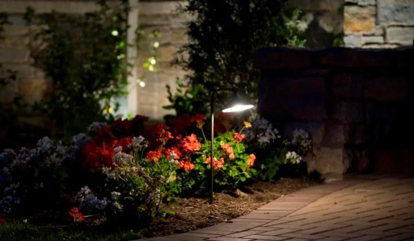 Oakly Landscaping-Landscape Lighting-1