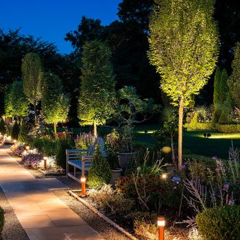 Oakly Landscaping-Landscape Lighting-2