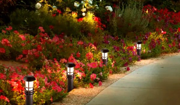 Oakly Landscaping-Landscape Lighting-7