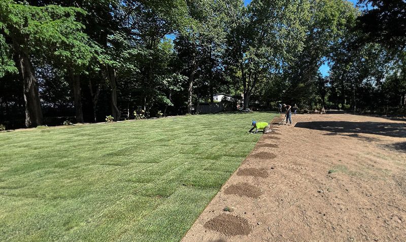 Oakly_Landscaping SOD-c1 Oakly_Landscaping SOD-c1