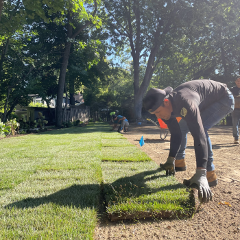 Screenshot 2026-03-16 at 8.34.39 AM