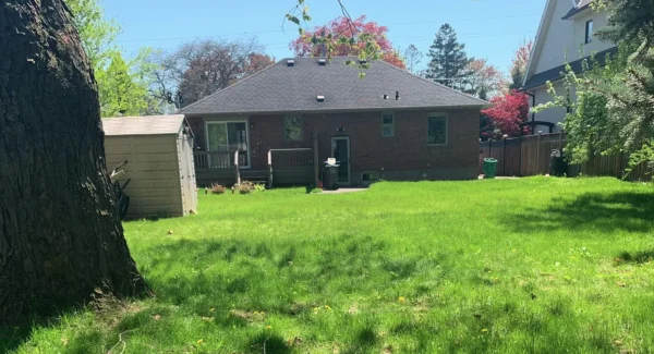 backyard-outdoor-work