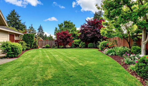 backyard-with-no-kitchen-installed