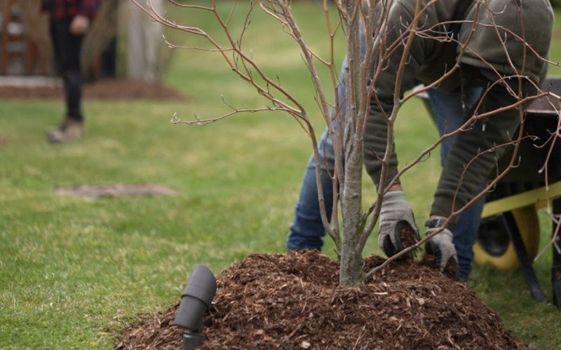 commercial property mulching