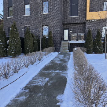 commercial snow removal services