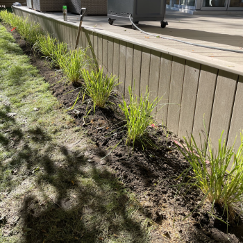 contemporary-landscape-design-toronto-oakly-collaboration