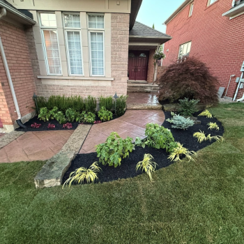 front yard landscape installation and design