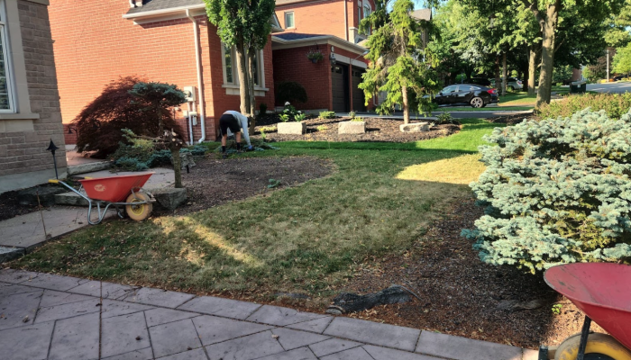 front yard landscape installation