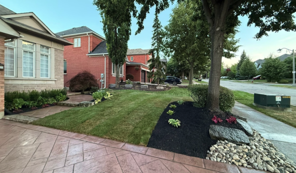front yard landscape transformation