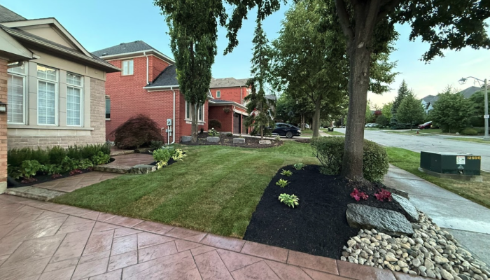 front yard landscape transformation