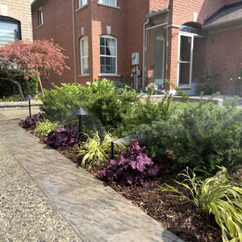 front yard sod and landscape installation