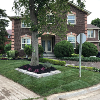 front yard sod installation - landscape