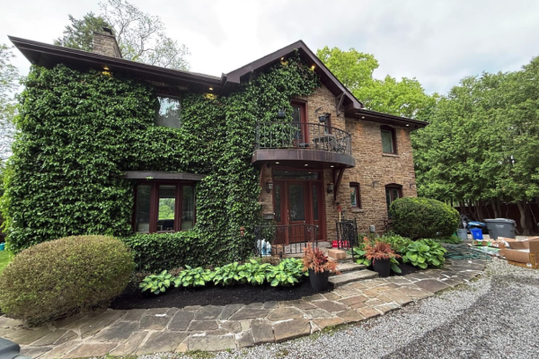 front yard transformation