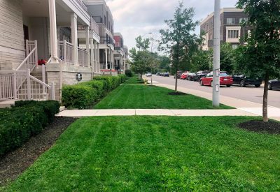 Commercial Property Maintenance, commercial landscaping contractor