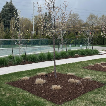 landscape-backyard-installation