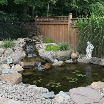 landscape installation and sod in oakville