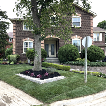landscape installation in Milton