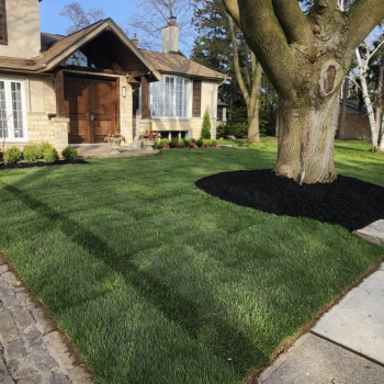landscape installation near me