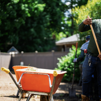 landscape installation