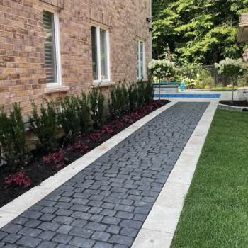 landscape & sod installation