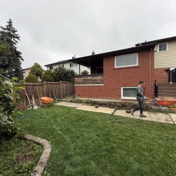 mississauga b wellness backyard